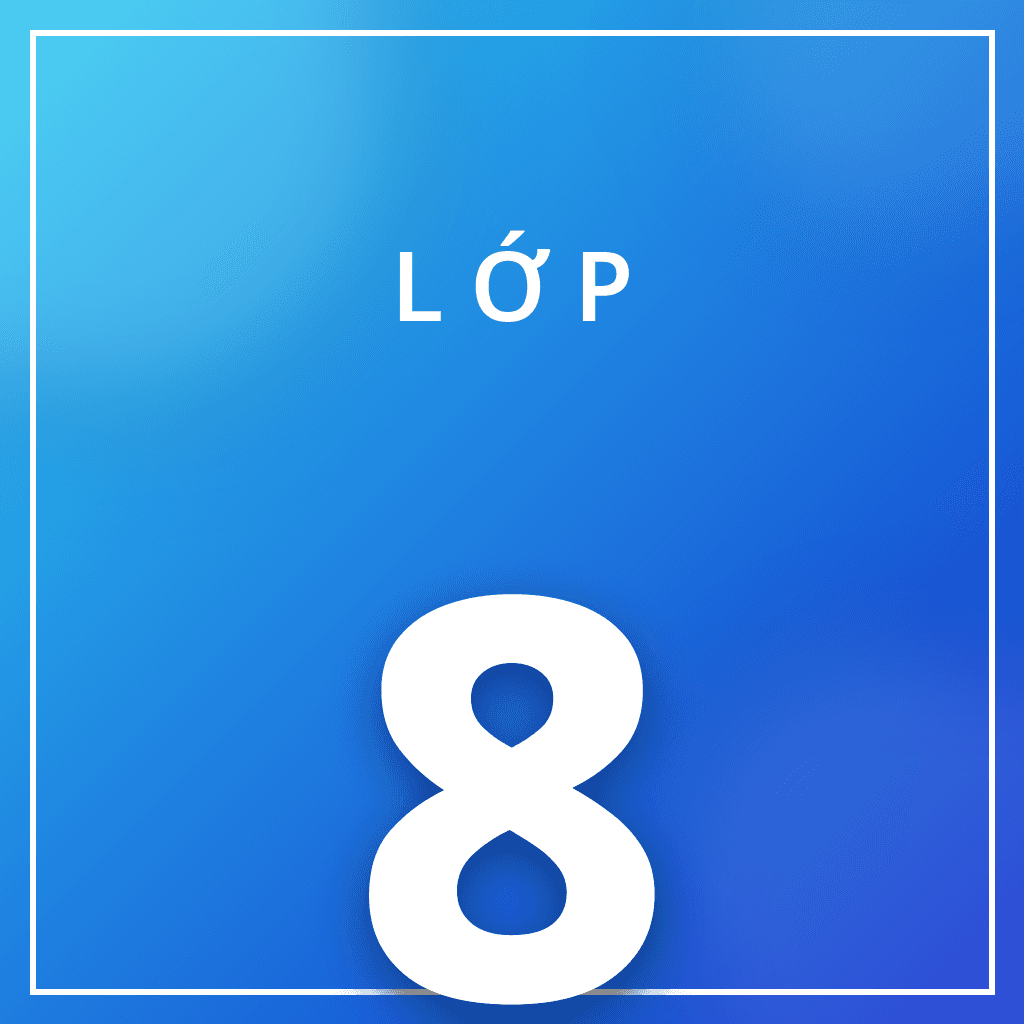 Lớp 8