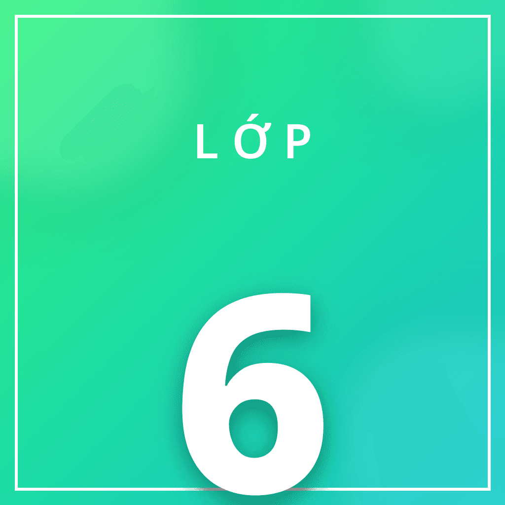 Lớp 6
