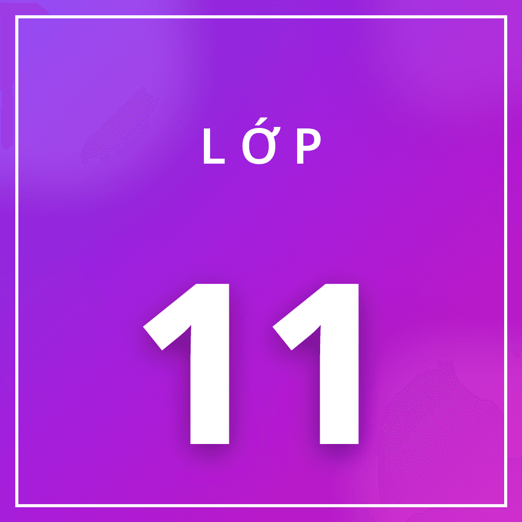 Lớp 11